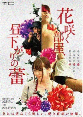 沙丘回声 电影封面